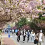 青岛黄海队磨合进度缓慢,求胜欲望不足的简单介绍 青岛黄海队磨合进度缓慢,求胜欲望不足的简单介绍